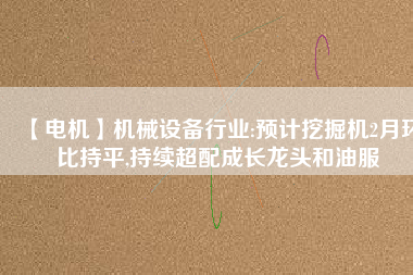 【電機】機械設備行業(yè):預計挖掘機2月環(huán)比持平,持續(xù)超配成長龍頭和油服