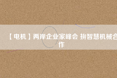【電機(jī)】兩岸企業(yè)家峰會(huì) 拚智慧機(jī)械合作