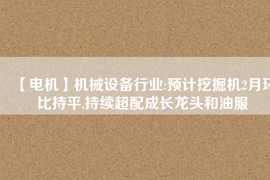 【電機】機械設備行業(yè):預計挖掘機2月環(huán)比持平,持續(xù)超配成長龍頭和油服