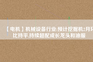 【電機】機械設備行業(yè):預計挖掘機2月環(huán)比持平,持續(xù)超配成長龍頭和油服