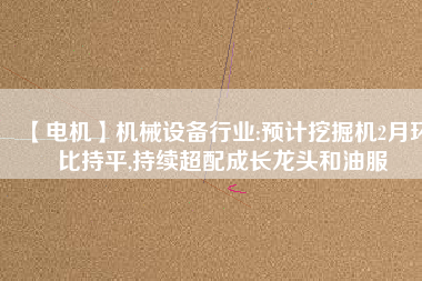 【電機】機械設備行業(yè):預計挖掘機2月環(huán)比持平,持續(xù)超配成長龍頭和油服