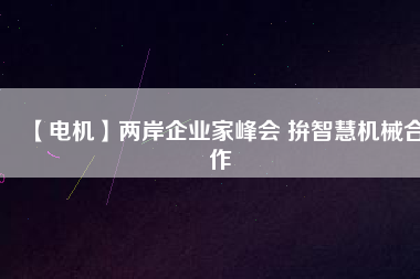 【電機(jī)】兩岸企業(yè)家峰會(huì) 拚智慧機(jī)械合作