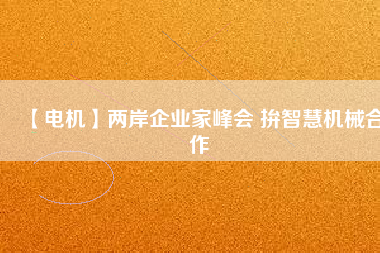 【電機(jī)】兩岸企業(yè)家峰會(huì) 拚智慧機(jī)械合作