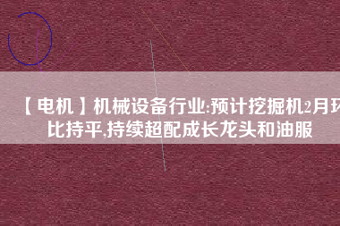 【電機】機械設備行業(yè):預計挖掘機2月環(huán)比持平,持續(xù)超配成長龍頭和油服