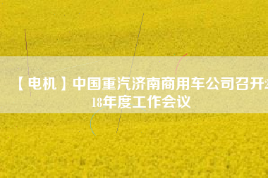 【電機】中國重汽濟南商用車公司召開2018年度工作會議