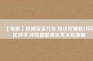 【電機】機械設備行業(yè):預計挖掘機2月環(huán)比持平,持續(xù)超配成長龍頭和油服