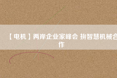 【電機(jī)】兩岸企業(yè)家峰會(huì) 拚智慧機(jī)械合作