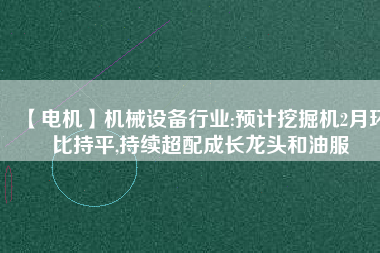 【電機】機械設備行業(yè):預計挖掘機2月環(huán)比持平,持續(xù)超配成長龍頭和油服