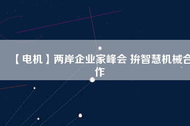 【電機(jī)】兩岸企業(yè)家峰會(huì) 拚智慧機(jī)械合作