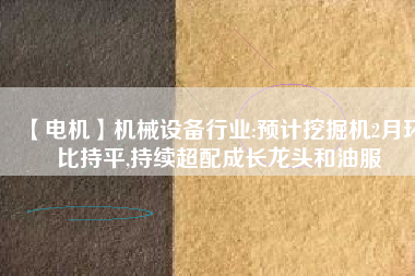 【電機】機械設備行業(yè):預計挖掘機2月環(huán)比持平,持續(xù)超配成長龍頭和油服