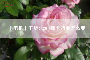 【電機(jī)】干貨:2018重卡行業(yè)怎么變
